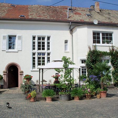 Bio-Weingut, Gaestehaus Und Kraeuterhof Flomborn Экстерьер фото