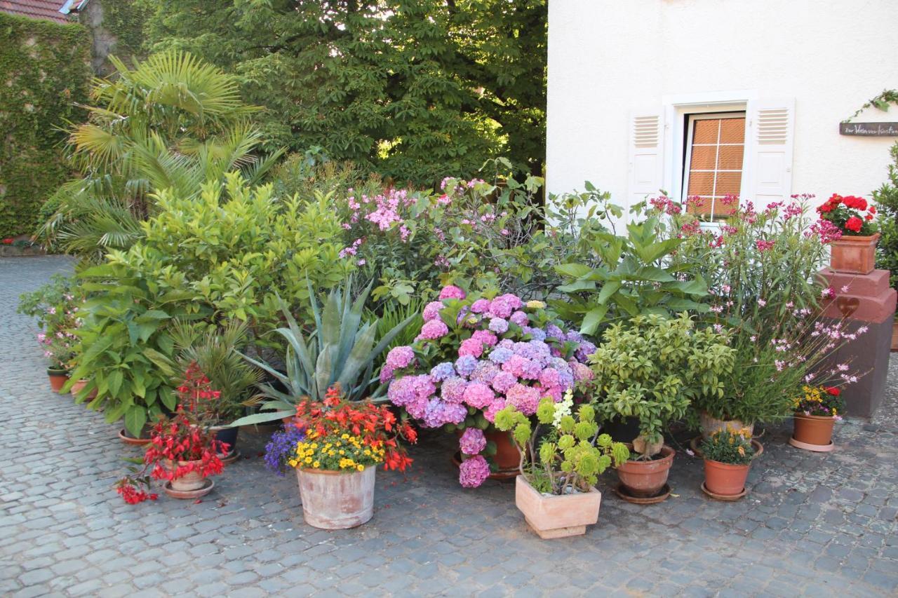 Bio-Weingut, Gaestehaus Und Kraeuterhof Flomborn Экстерьер фото